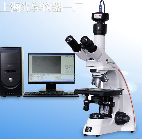 �@΢���۵ȼ�����ϵ�y(t��ng)YP-2�r��